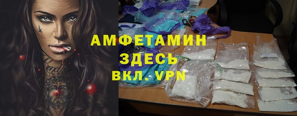 индика Дмитровск