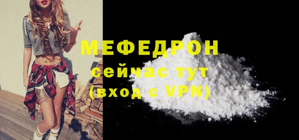 индика Дмитровск