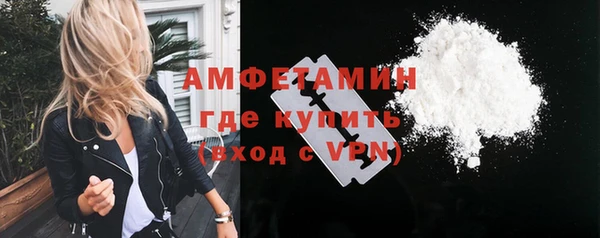 индика Дмитровск