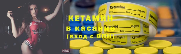 индика Дмитровск