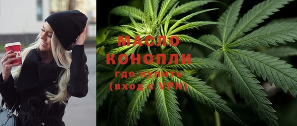 индика Дмитровск