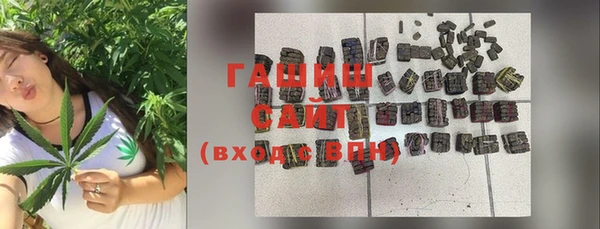 индика Дмитровск