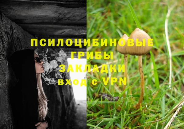 мяу мяу мука Дмитров
