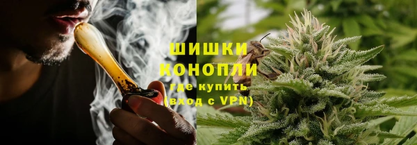индика Дмитровск