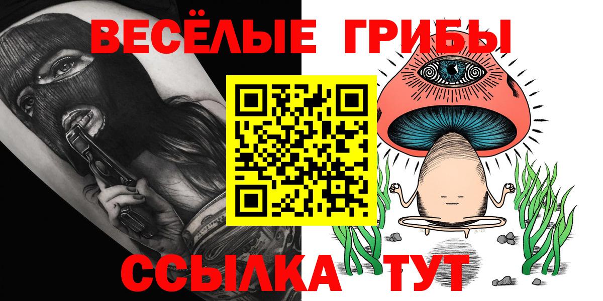 Псилоцибиновые грибы мицелий  Гатчина 