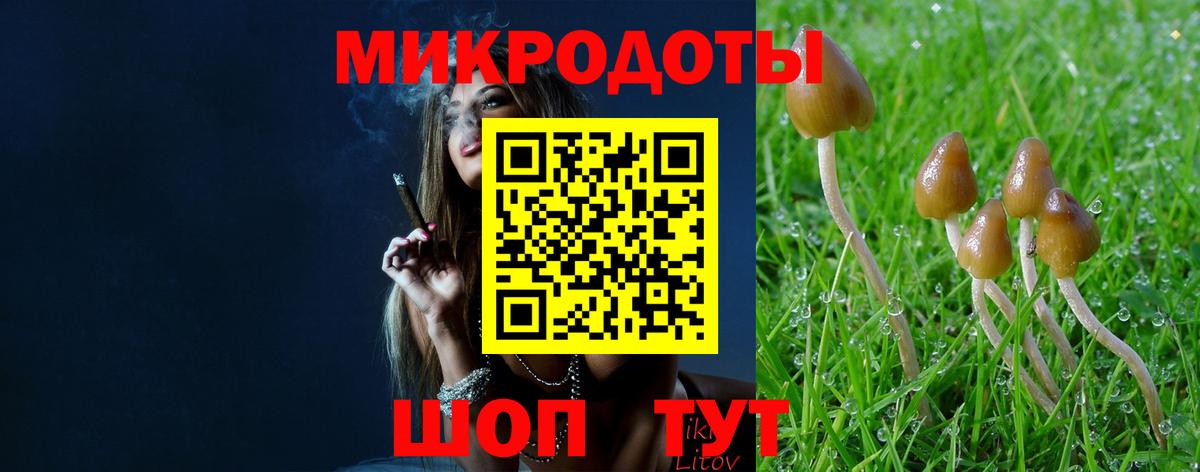 Гатчина  Псилоцибиновые грибы MAGIC MUSHROOMS  Вход с VPN 