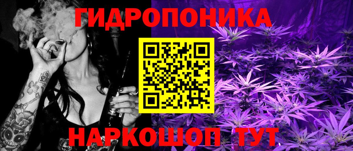 МАРИХУАНА сатива Гатчина