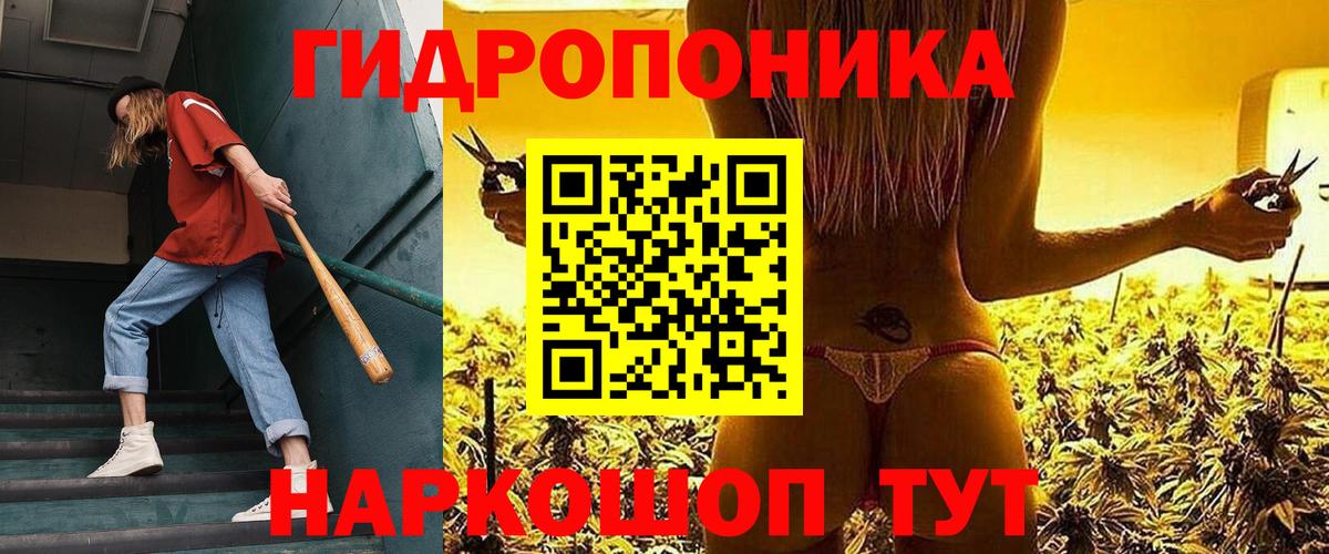 Конопля гибрид  МАРИХУАНА план  Гатчина  Вход с VPN  Шишки марихуана план 